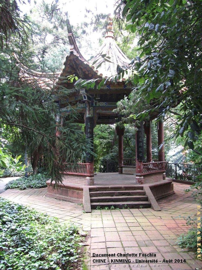 144- Charlotte - Kunming .JPG